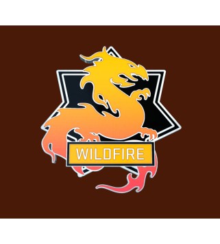 CS:GO - Series 3 - Wildfire Collectible Pin Steam Key GLOBAL